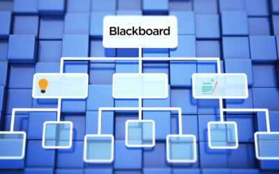 Announcing the New Blackboard Student Support Organization